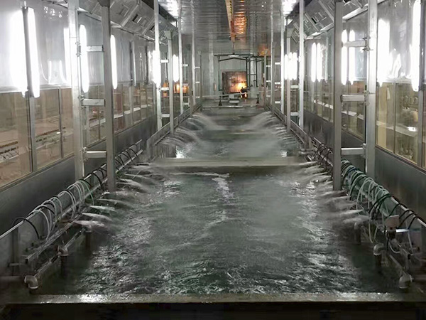 農(nóng)機(jī)配件電泳線3.jpg